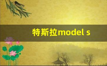 特斯拉model s 飞翼门,特斯拉models是鹰翼门吗